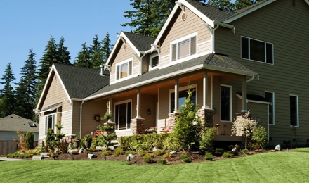 Residential Pest Control